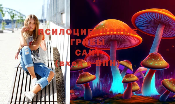 прущая мука Ладушкин