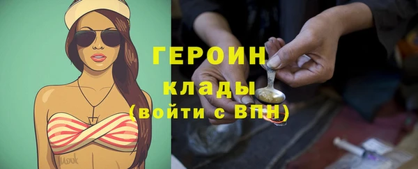 прущие грибы Лабытнанги